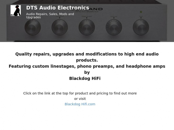 dtsaudioelectronics.com