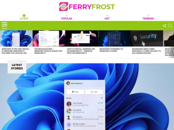 ferryfrost.com