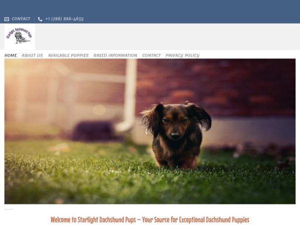 stardachshunds.com