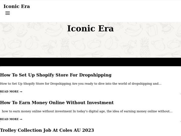 theiconicera.com