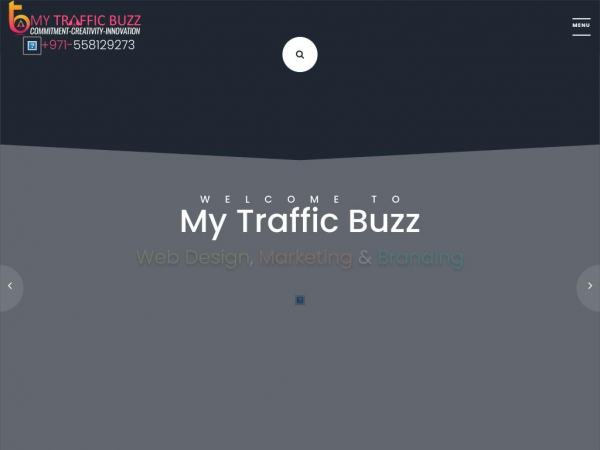 mytrafficbuzz.com