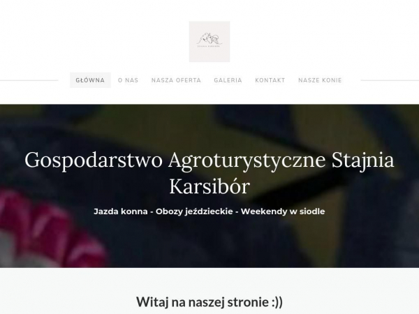 stajniakarsibor.weebly.com